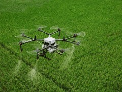 <b>云梦：无人机高效喷洒农药，成村民们的</b>